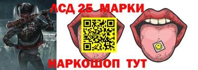 индика Кулебаки