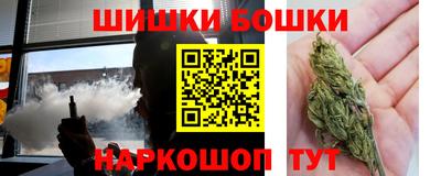 индика Кулебаки