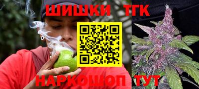 индика Кулебаки