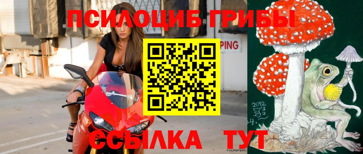 Ульяновск  Псилоцибиновые грибы GOLDEN TEACHER  Вход с VPN 